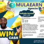 Can You Really Earn Money on MulaEarn?