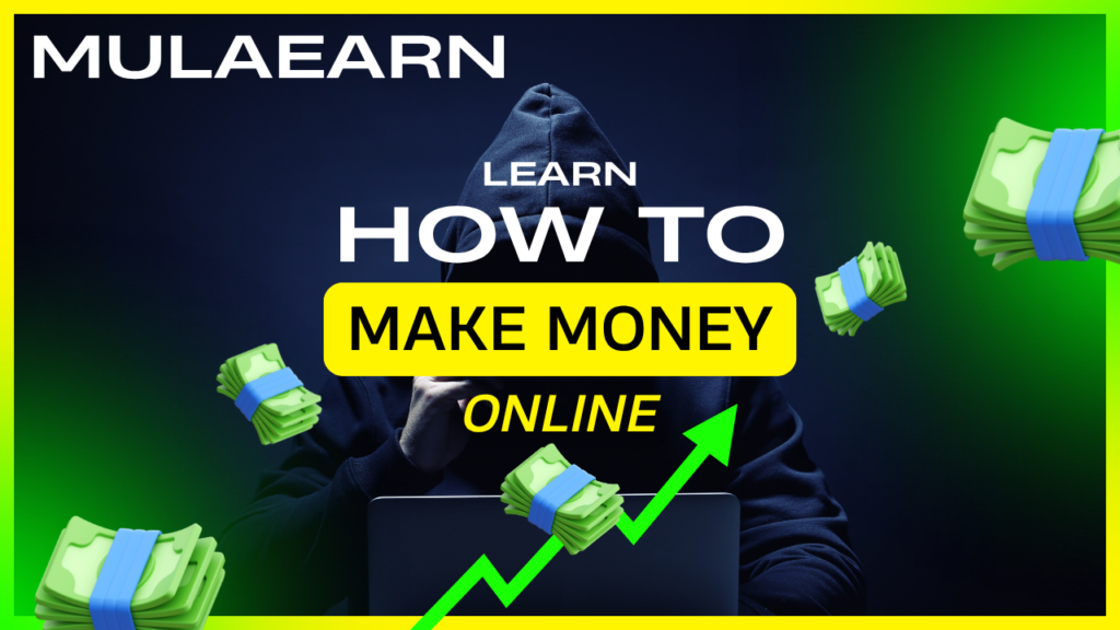 MulaEarn South Africa Guide